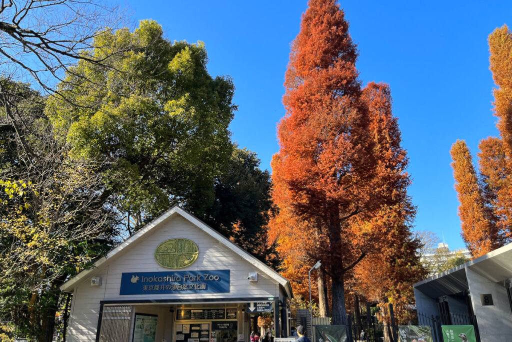 井の頭恩賜公園