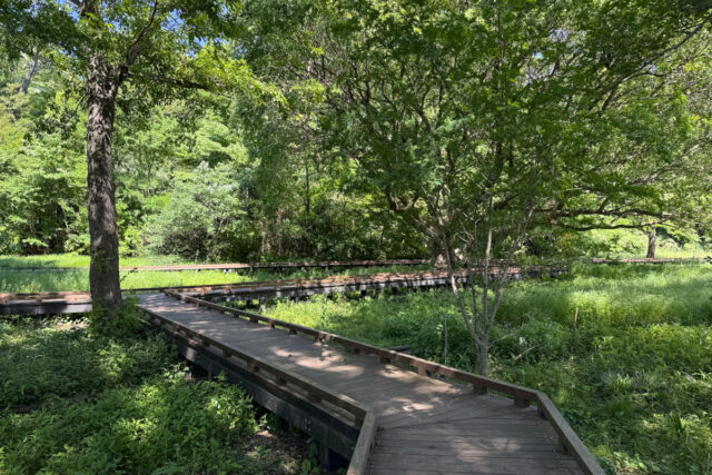 野川公園「自然観察園」