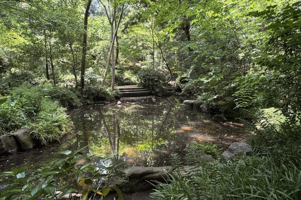 おとめ山公園