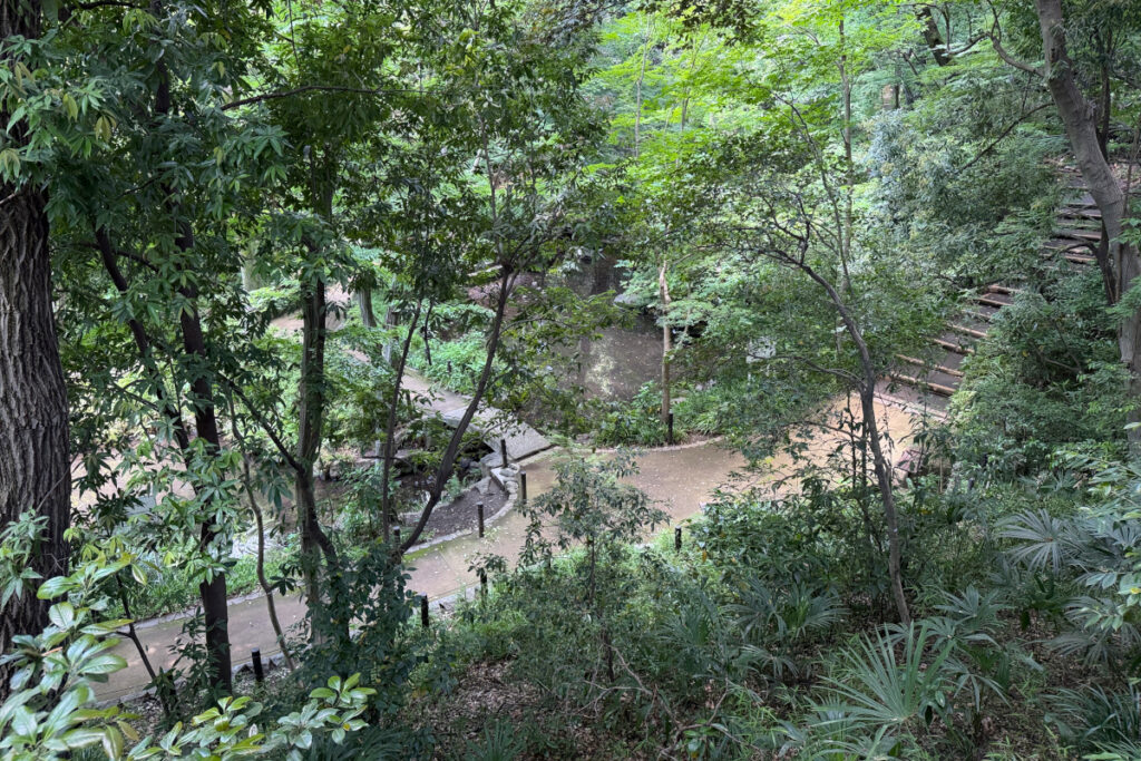 おとめ山公園