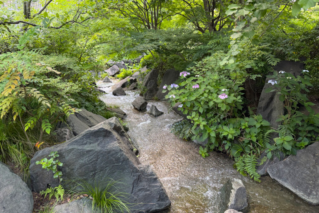 檜町公園 日本庭園