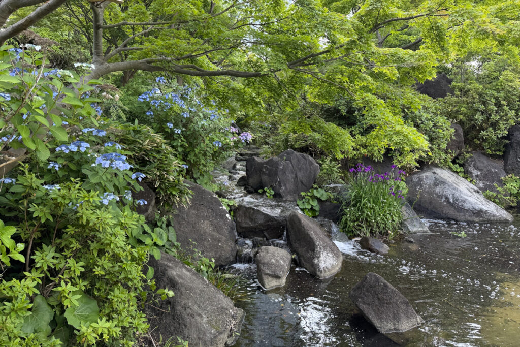 檜町公園 日本庭園