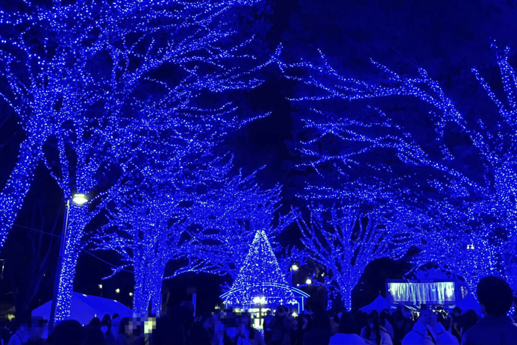 イルミネーションを見に行く