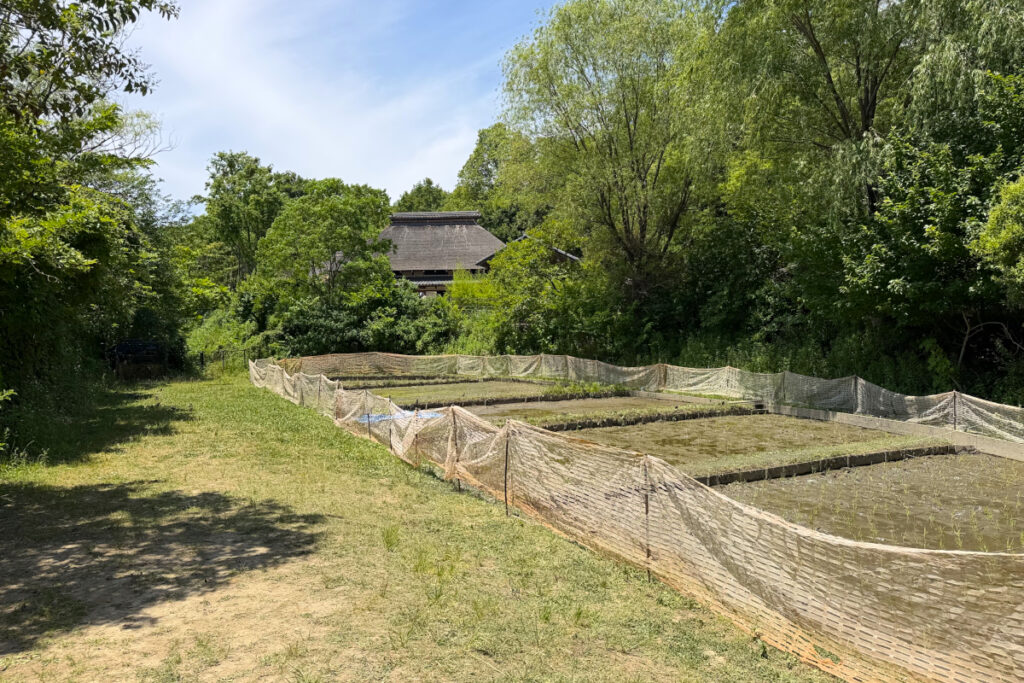 赤羽自然観察公園
