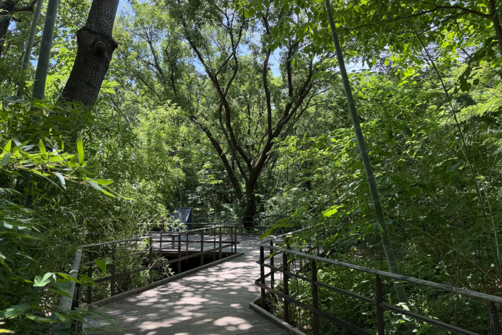 赤羽自然観察公園