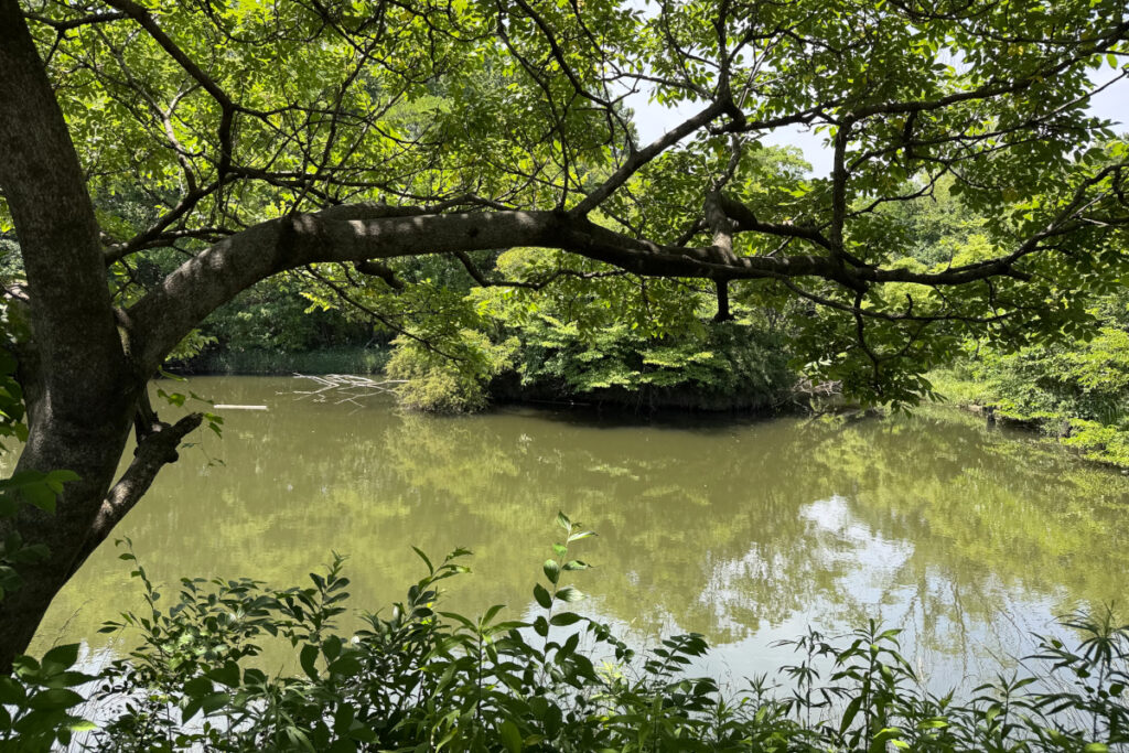 赤羽自然観察公園