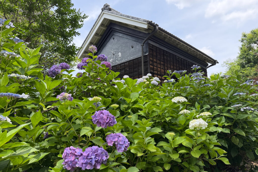 府中市郷土の森博物館