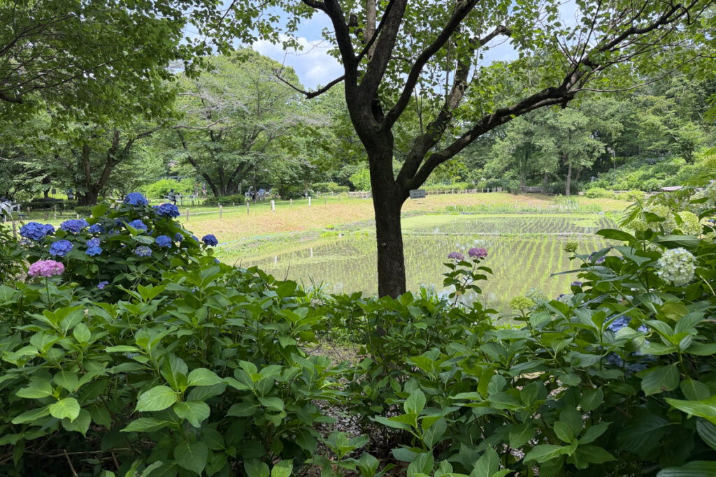 府中市郷土の森博物館