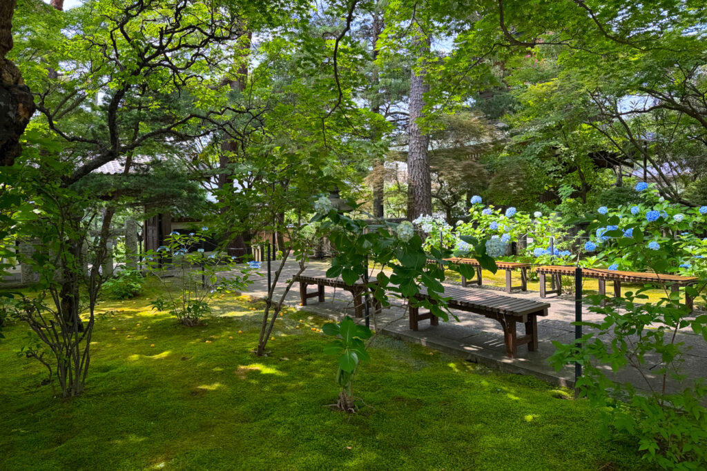道場寺