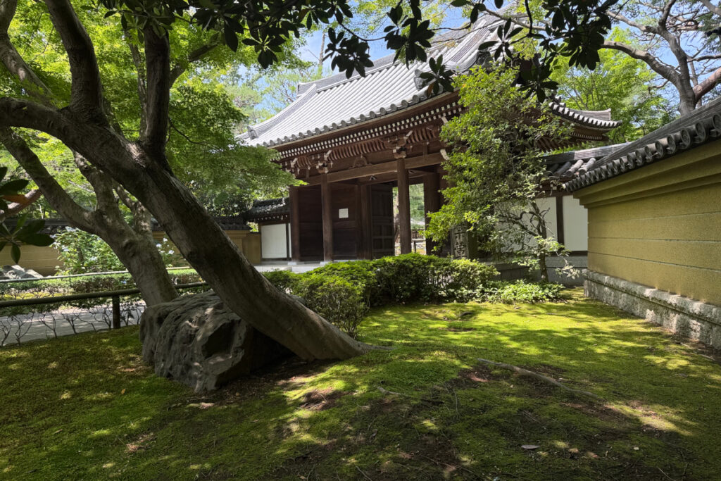 観泉寺