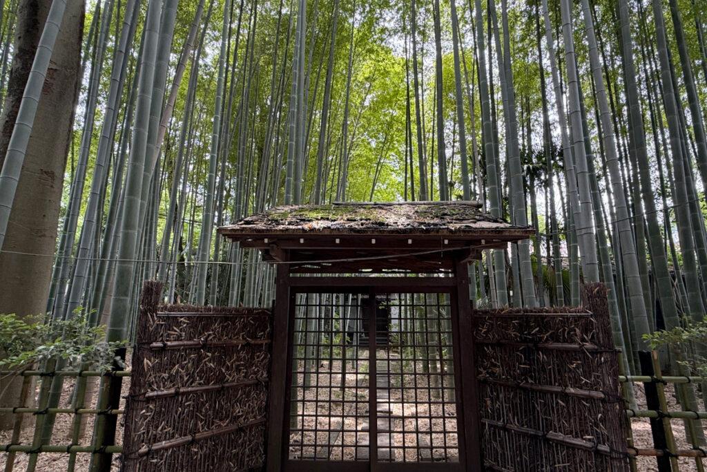 妙光院