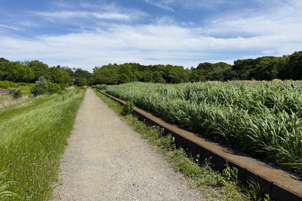 武蔵野公園