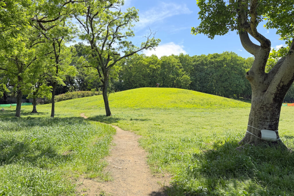 武蔵野公園