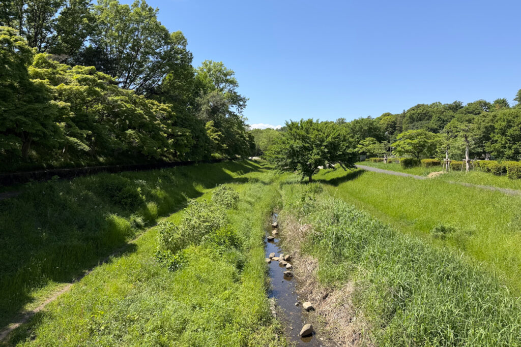 武蔵野公園