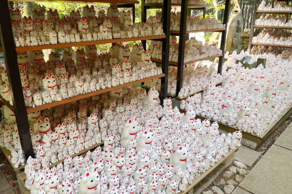 招き猫に圧倒される豪徳寺