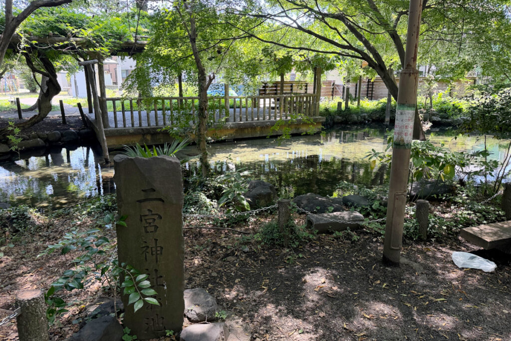 二宮神社 お池