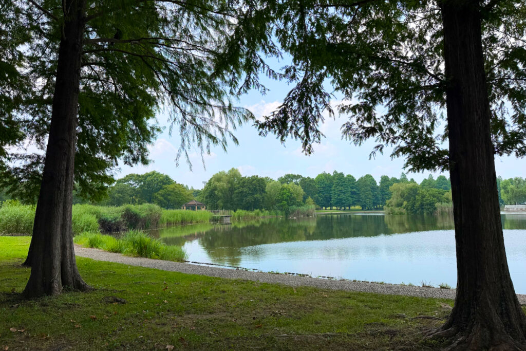 舎人公園