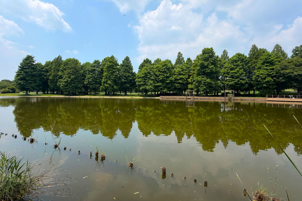 舎人公園