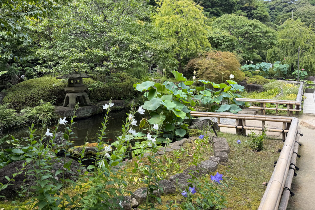 長谷寺