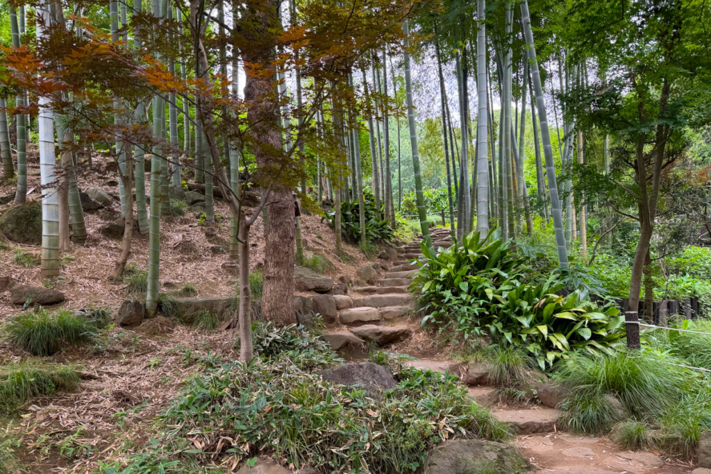 等々力渓谷 日本庭園
