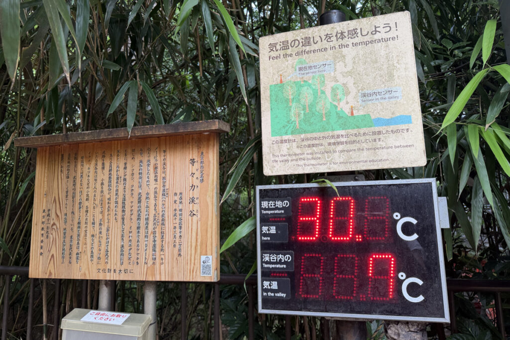 等々力渓谷