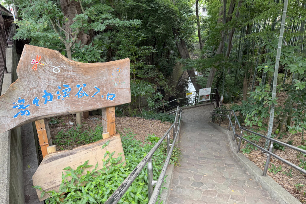 等々力渓谷
