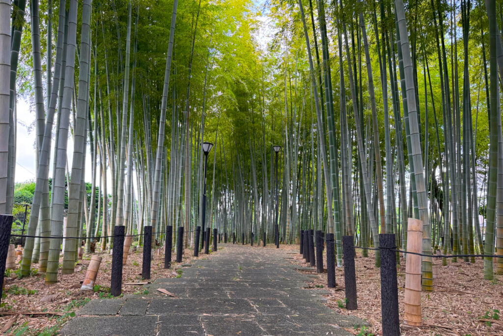 竹の子公園