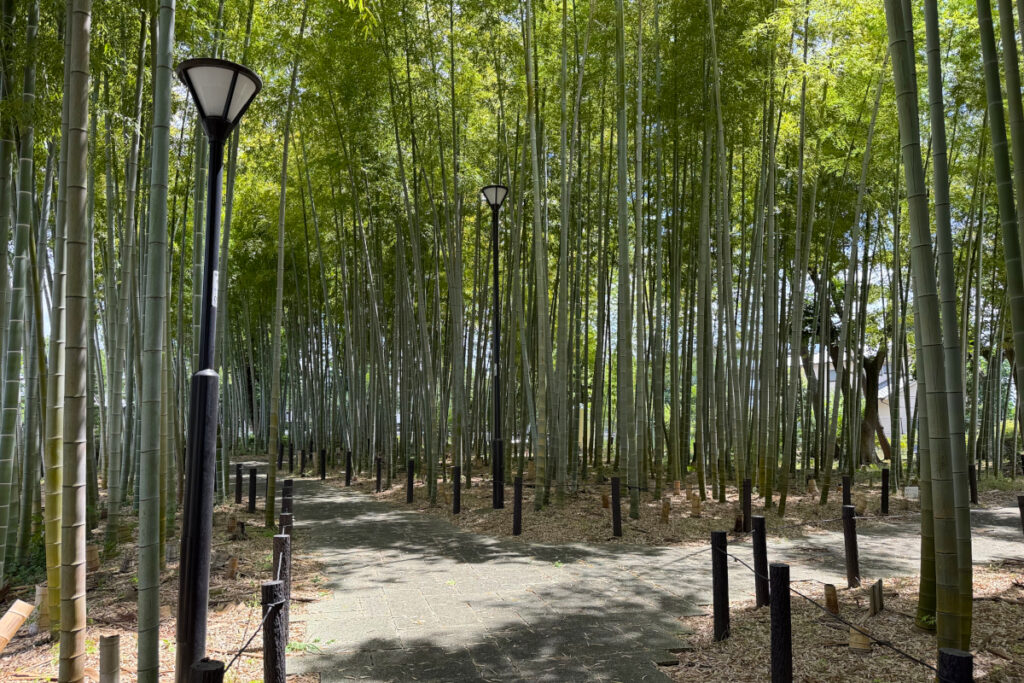 竹の子公園