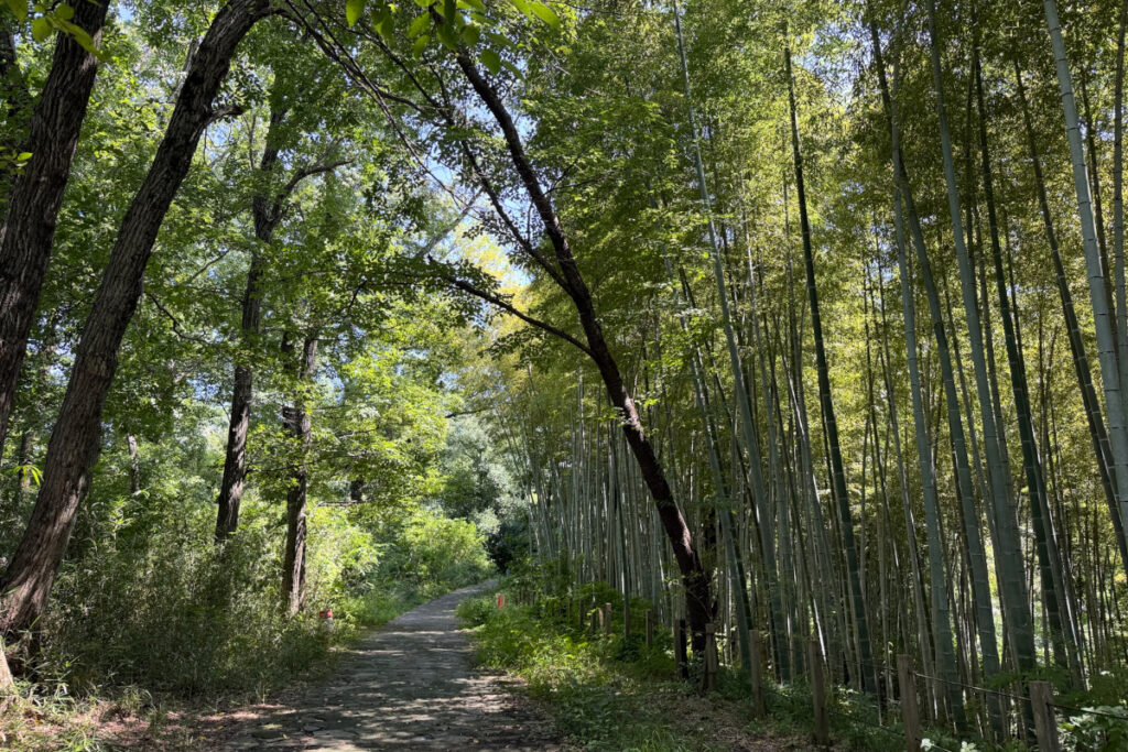 小山田緑地