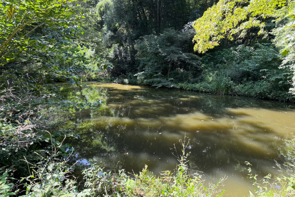 小山田緑地