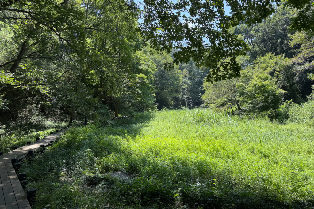 小山田緑地
