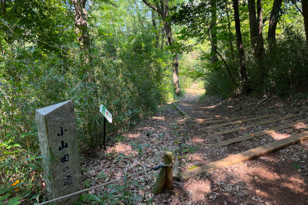 小山田緑地