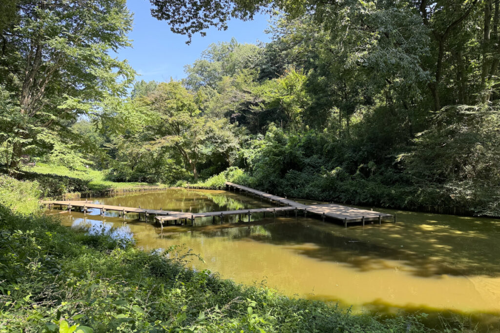 小山田緑地