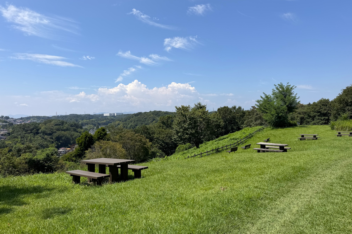 小山田緑地