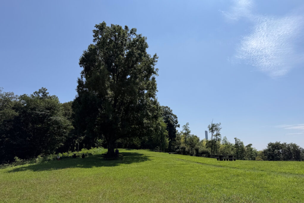 小山田緑地