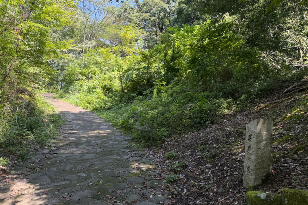 小山田緑地
