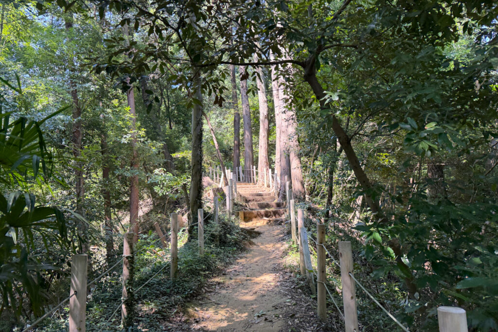 小山田緑地