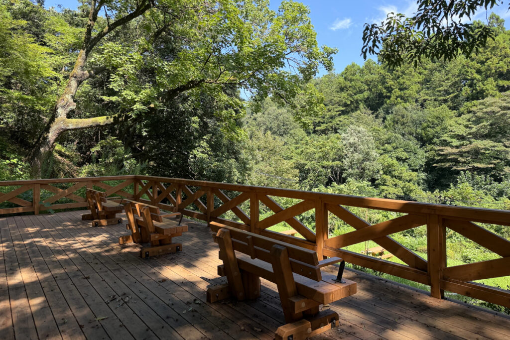 小山田緑地