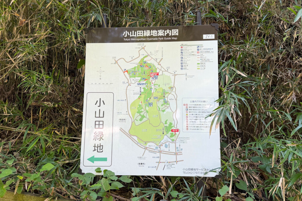 小山田緑地