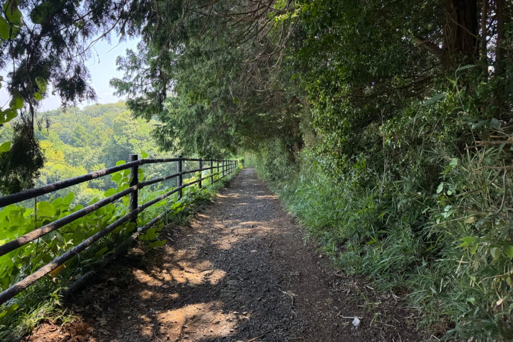 小山田緑地