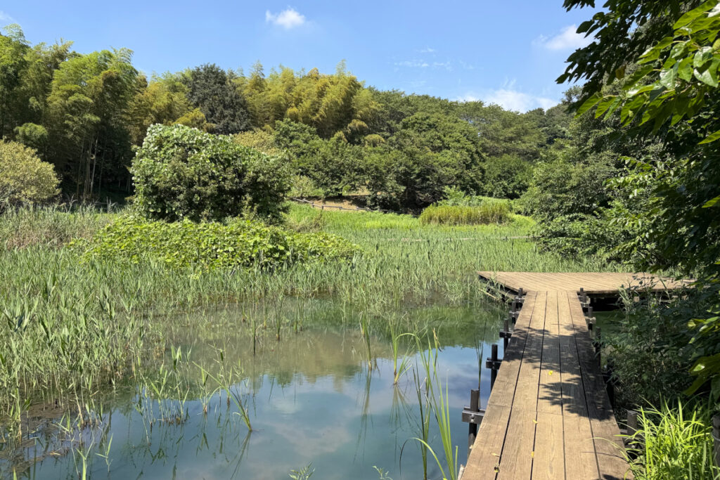 小山田緑地