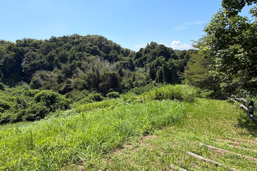 小山田緑地