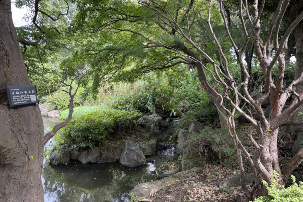 小菅東スポーツ公園 日本庭園