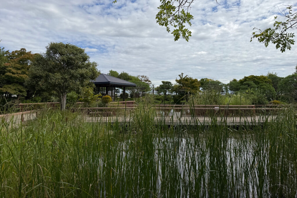 小菅東スポーツ公園 日本庭園