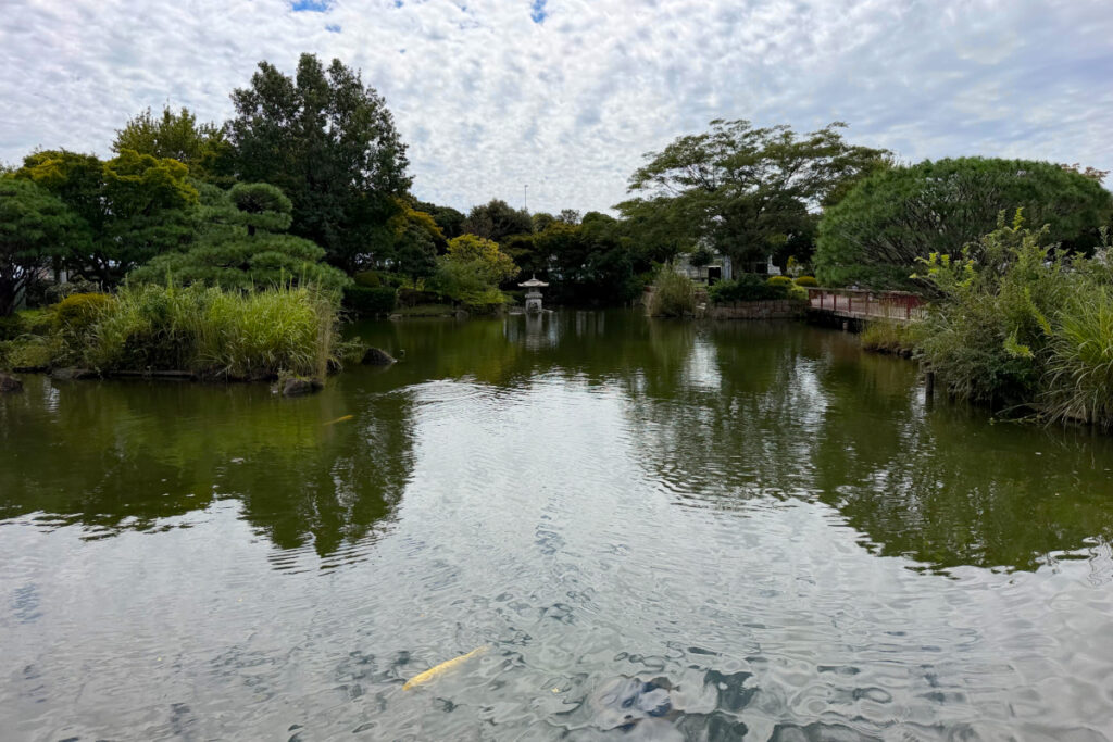 小菅東スポーツ公園 日本庭園