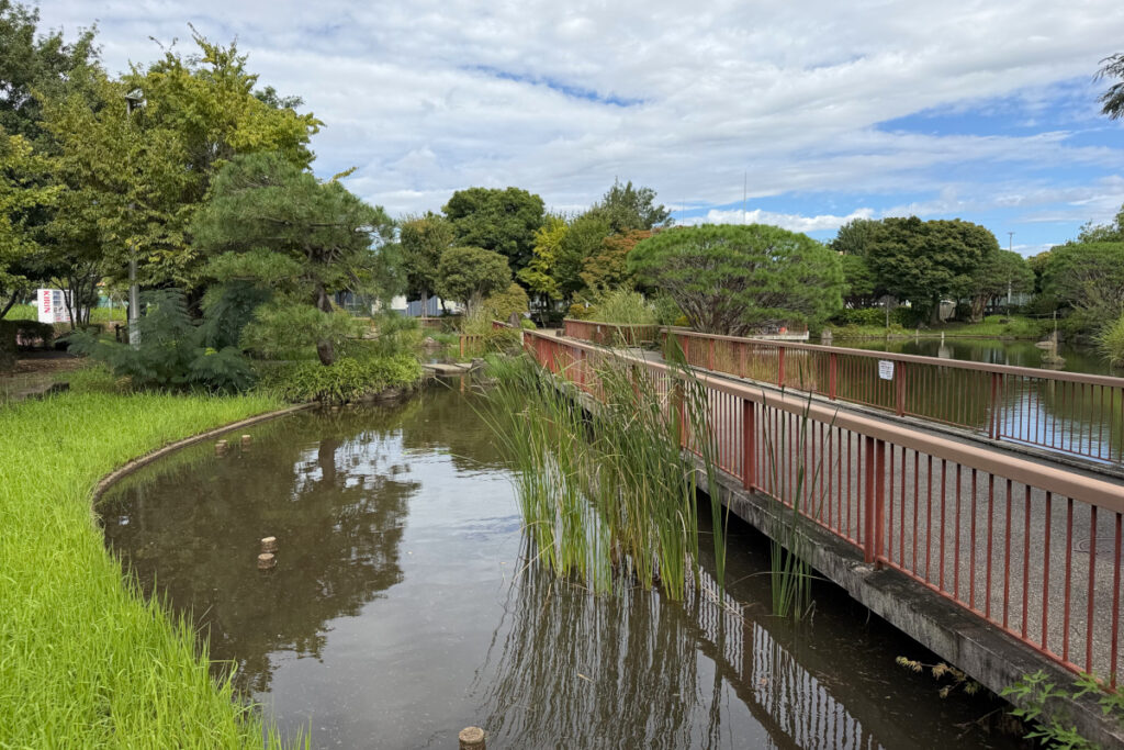 小菅東スポーツ公園 日本庭園