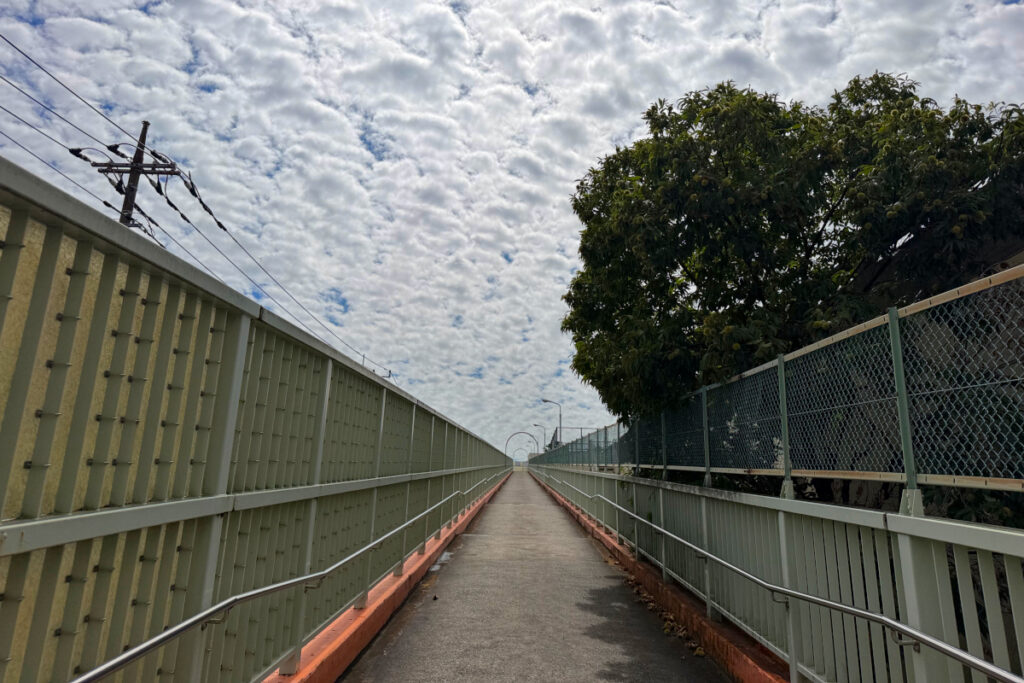 小菅東スポーツ公園 日本庭園