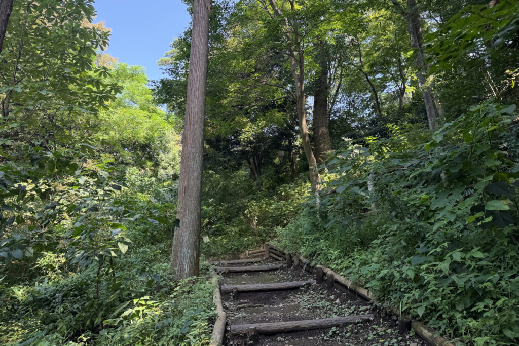 瀬田四丁目旧小坂緑地（旧小坂家住宅）