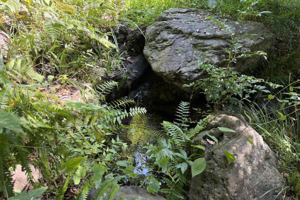 瀬田四丁目旧小坂緑地（旧小坂家住宅）