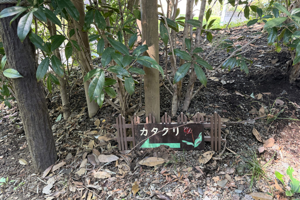 瀬田四丁目旧小坂緑地（旧小坂家住宅）